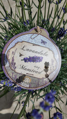 Lavandula angustifolia 'Munstead'