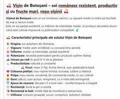 Visin de Botosani