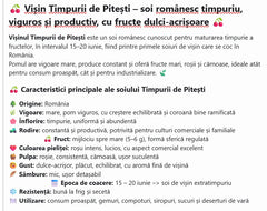 Visin Timpurii de Pitesti
