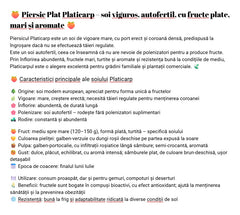 Piersic Plat Platicarp