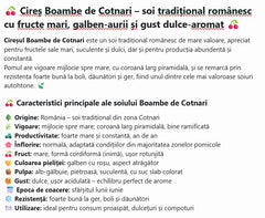 Cires Boambe de Cotnari