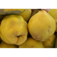 Gutui Biotip Local Obarsia