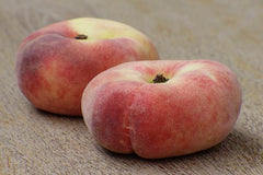 Piersic Plat Platicarp