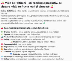 Visin de Falticeni