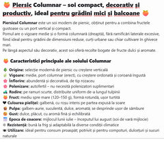 Piersic Columnar